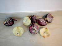 南山除开云网投(中国)有限公司 南山除开云网投(中国)有限公司