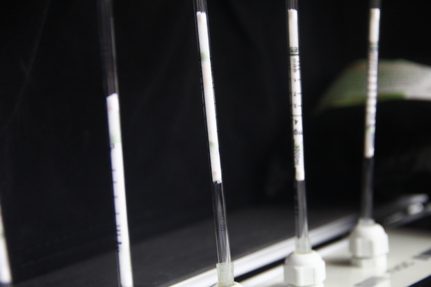 深圳新车除异味 深圳新车除异味