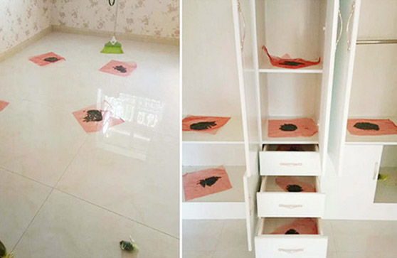 （华绿城李工13713521434）