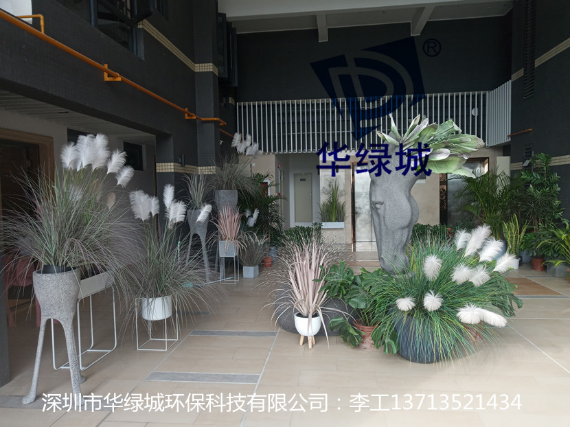 华绿城除开云网投(中国)有限公司