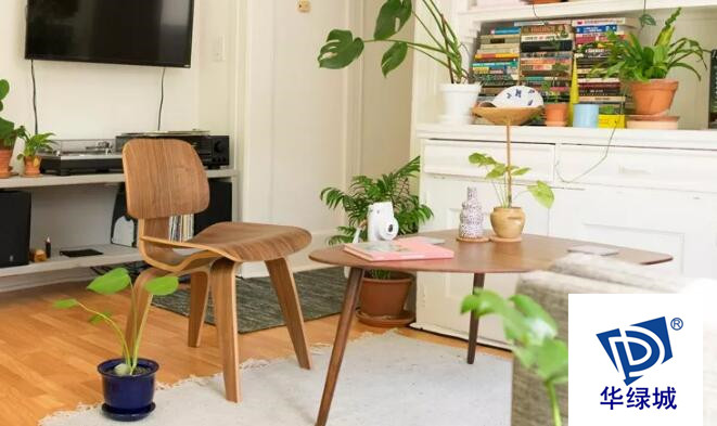 1551067041555053.jpg 04_副本.jpg