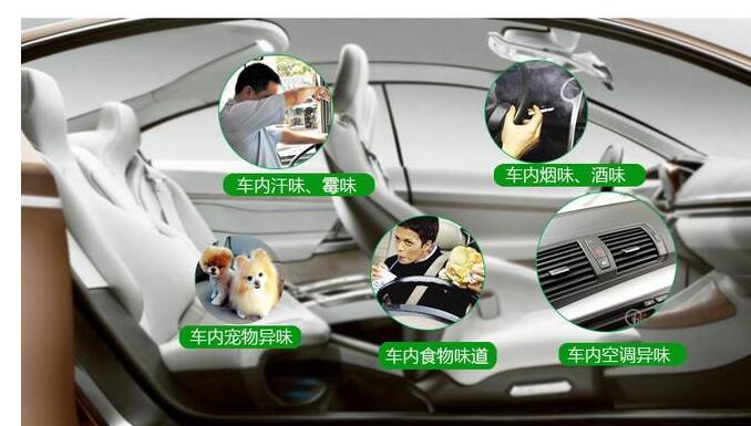 深圳新车除开云网投(中国)有限公司